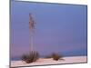 White Sands, New Mexico, USA-Dee Ann Pederson-Mounted Photographic Print