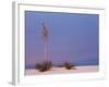 White Sands, New Mexico, USA-Dee Ann Pederson-Framed Photographic Print