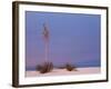 White Sands, New Mexico, USA-Dee Ann Pederson-Framed Photographic Print