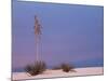 White Sands, New Mexico, USA-Dee Ann Pederson-Mounted Photographic Print