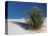 White Sands, New Mexico, USA-Dee Ann Pederson-Stretched Canvas