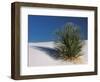 White Sands, New Mexico, USA-Dee Ann Pederson-Framed Photographic Print