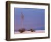 White Sands, New Mexico, USA-Dee Ann Pederson-Framed Photographic Print