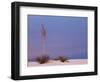 White Sands, New Mexico, USA-Dee Ann Pederson-Framed Photographic Print