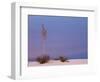 White Sands, New Mexico, USA-Dee Ann Pederson-Framed Photographic Print