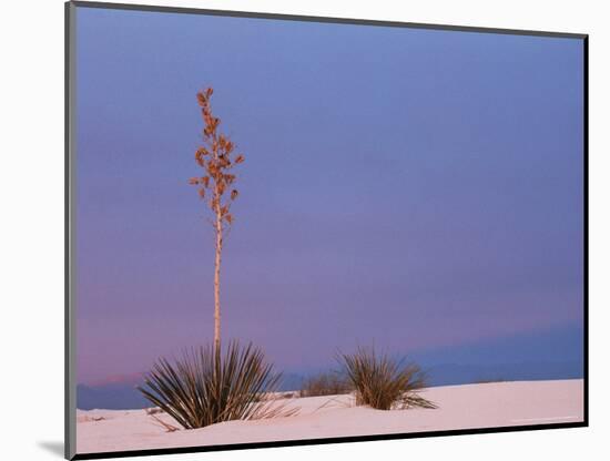 White Sands, New Mexico, USA-Dee Ann Pederson-Mounted Photographic Print