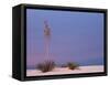 White Sands, New Mexico, USA-Dee Ann Pederson-Framed Stretched Canvas