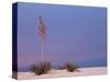 White Sands, New Mexico, USA-Dee Ann Pederson-Stretched Canvas