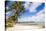 White Sands of Muri Beach, Muri, Rarotonga, Cook Islands, South Pacific, Pacific-Matthew Williams-Ellis-Stretched Canvas