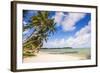 White Sands of Muri Beach, Muri, Rarotonga, Cook Islands, South Pacific, Pacific-Matthew Williams-Ellis-Framed Photographic Print