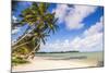 White Sands of Muri Beach, Muri, Rarotonga, Cook Islands, South Pacific, Pacific-Matthew Williams-Ellis-Mounted Photographic Print