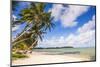 White Sands of Muri Beach, Muri, Rarotonga, Cook Islands, South Pacific, Pacific-Matthew Williams-Ellis-Mounted Photographic Print