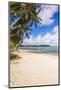 White Sands of Muri Beach, Muri, Rarotonga, Cook Islands, South Pacific, Pacific-Matthew Williams-Ellis-Mounted Photographic Print