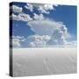 White Sands-Philippe Sainte-Laudy-Stretched Canvas