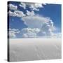 White Sands-Philippe Sainte-Laudy-Stretched Canvas