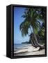 White Sandy Beach and Leaning Palm Trees, Koh Samui, Thailand, Southeast Asia-D H Webster-Framed Stretched Canvas