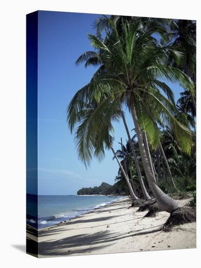 White Sandy Beach and Leaning Palm Trees, Koh Samui, Thailand, Southeast Asia-D H Webster-Stretched Canvas