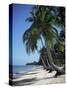 White Sandy Beach and Leaning Palm Trees, Koh Samui, Thailand, Southeast Asia-D H Webster-Stretched Canvas