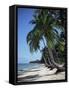 White Sandy Beach and Leaning Palm Trees, Koh Samui, Thailand, Southeast Asia-D H Webster-Framed Stretched Canvas