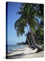 White Sandy Beach and Leaning Palm Trees, Koh Samui, Thailand, Southeast Asia-D H Webster-Stretched Canvas