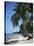 White Sandy Beach and Leaning Palm Trees, Koh Samui, Thailand, Southeast Asia-D H Webster-Stretched Canvas