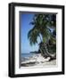 White Sandy Beach and Leaning Palm Trees, Koh Samui, Thailand, Southeast Asia-D H Webster-Framed Photographic Print