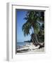 White Sandy Beach and Leaning Palm Trees, Koh Samui, Thailand, Southeast Asia-D H Webster-Framed Photographic Print