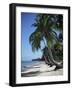 White Sandy Beach and Leaning Palm Trees, Koh Samui, Thailand, Southeast Asia-D H Webster-Framed Photographic Print