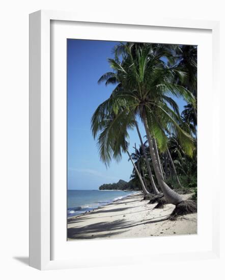 White Sandy Beach and Leaning Palm Trees, Koh Samui, Thailand, Southeast Asia-D H Webster-Framed Photographic Print