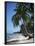 White Sandy Beach and Leaning Palm Trees, Koh Samui, Thailand, Southeast Asia-D H Webster-Framed Photographic Print