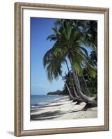 White Sandy Beach and Leaning Palm Trees, Koh Samui, Thailand, Southeast Asia-D H Webster-Framed Photographic Print