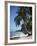 White Sandy Beach and Leaning Palm Trees, Koh Samui, Thailand, Southeast Asia-D H Webster-Framed Photographic Print