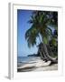 White Sandy Beach and Leaning Palm Trees, Koh Samui, Thailand, Southeast Asia-D H Webster-Framed Photographic Print