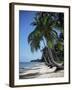 White Sandy Beach and Leaning Palm Trees, Koh Samui, Thailand, Southeast Asia-D H Webster-Framed Photographic Print