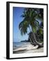 White Sandy Beach and Leaning Palm Trees, Koh Samui, Thailand, Southeast Asia-D H Webster-Framed Photographic Print