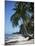 White Sandy Beach and Leaning Palm Trees, Koh Samui, Thailand, Southeast Asia-D H Webster-Mounted Photographic Print