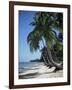 White Sandy Beach and Leaning Palm Trees, Koh Samui, Thailand, Southeast Asia-D H Webster-Framed Photographic Print