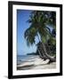 White Sandy Beach and Leaning Palm Trees, Koh Samui, Thailand, Southeast Asia-D H Webster-Framed Photographic Print