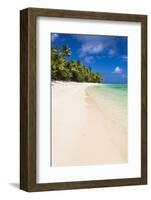 White Sandy Beach and Palm Trees on Tropical Rarotonga Island, Cook Islands, South Pacific, Pacific-Matthew Williams-Ellis-Framed Photographic Print