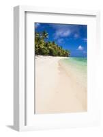 White Sandy Beach and Palm Trees on Tropical Rarotonga Island, Cook Islands, South Pacific, Pacific-Matthew Williams-Ellis-Framed Photographic Print