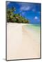 White Sandy Beach and Palm Trees on Tropical Rarotonga Island, Cook Islands, South Pacific, Pacific-Matthew Williams-Ellis-Mounted Photographic Print