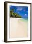 White Sandy Beach and Palm Trees on Tropical Rarotonga Island, Cook Islands, South Pacific, Pacific-Matthew Williams-Ellis-Framed Photographic Print