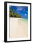 White Sandy Beach and Palm Trees on Tropical Rarotonga Island, Cook Islands, South Pacific, Pacific-Matthew Williams-Ellis-Framed Photographic Print