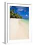 White Sandy Beach and Palm Trees on Tropical Rarotonga Island, Cook Islands, South Pacific, Pacific-Matthew Williams-Ellis-Framed Photographic Print