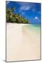 White Sandy Beach and Palm Trees on Tropical Rarotonga Island, Cook Islands, South Pacific, Pacific-Matthew Williams-Ellis-Mounted Photographic Print