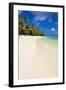 White Sandy Beach and Palm Trees on Tropical Rarotonga Island, Cook Islands, South Pacific, Pacific-Matthew Williams-Ellis-Framed Photographic Print