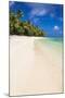 White Sandy Beach and Palm Trees on Tropical Rarotonga Island, Cook Islands, South Pacific, Pacific-Matthew Williams-Ellis-Mounted Photographic Print