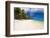 White Sandy Beach and Palm Trees on Tropical Rarotonga Island, Cook Islands, South Pacific, Pacific-Matthew Williams-Ellis-Framed Photographic Print