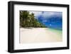 White Sandy Beach and Palm Trees on Tropical Rarotonga Island, Cook Islands, South Pacific, Pacific-Matthew Williams-Ellis-Framed Photographic Print