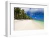 White Sandy Beach and Palm Trees on Tropical Rarotonga Island, Cook Islands, South Pacific, Pacific-Matthew Williams-Ellis-Framed Photographic Print